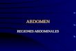 15.-Regiones Del Abdomen-cavidad Abdominal