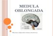 neuro-MEDULA OBLONGADA