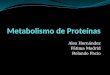 Metabolismo proteinas