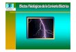 1.- Efectos Fisiologicos de La Corriente Electrica