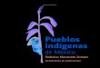 Pueblos Indigenas Mexico Navarrete c1