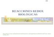 Reacciones REDOX Biológicas