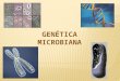7. Genetica microbiana