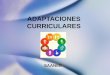 Adaptaciones curriculares- Educación Inclusiva
