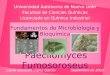 Paecilomyces Fumosoroseus