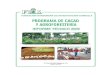 Cacao -FHIA Informe Tecnico Cacao Agroforesteria 2009