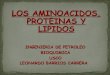 Aminoacidos Proteinas y Lipidos (2)
