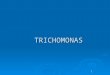 tricomonas 2