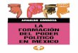 Cordova Arnaldo - - La Formacion Del Poder Politico En Mexico