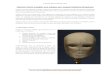 Tutorial - Cómo modelar una cabeza, por Freeman