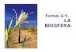 T4- 5. La Biosfera