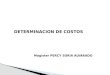Determinación de costos - Percy Soria v2