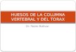 5.) Huesos de la Columna Vertebral y del Tórax -  Prof. Pedro Bolívar