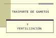 Trasporte y fertilizacion