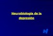 Neurobiología depresión 2