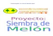 Proyecto Melon Listo de Rellenar