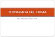 12.) Topografía del Tórax - Prof. Pedro Bolívar