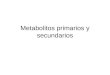 6_Metabolitos primarios y secundarios
