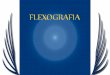 Introduccion Flexografia