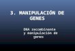 Tema 3. DNA recombinante y manipulación de genes