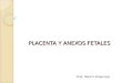 4.) Placenta y Anexos Fetales - Prof. Merlin Villamizar