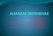 ALIANZAS DEFENSIVAS 22