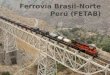 Ferrovía Brasil-Norte Perú (FETAB)