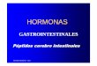 Hormonas Gastrointestinales