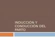 Induccion y Conduccion Del Parto - Samuel Almeida IP