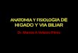 Anatomia y Fisiologia de Higado y via Biliar