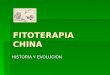 Fitoterapia China