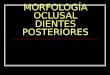 Morfologia Oclusal en Posteriores Dra Claudia Restrepo[1]