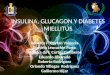 Insulina, Glucagon y Diabetes Miellitus