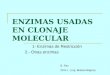 Enzimas Usadas en Clonaje Molecular2011-Biotech