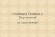 Fisiologia Tiroidea y Suprarrena