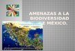 Amenazas a la biodiversidad de México