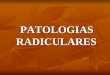 Patologias Radiculares