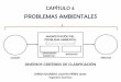 CAPÍTULO 4 (PROBLEMAS AMBIENTALES-CALENTAMIENTO GLOBAL)