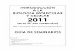 Guia de Seminarios IBMC 2011