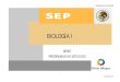Programa de Biologia Competencias Indicadores de Competencias Evaluaciones