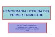 Hemorragia Uterina Del Primer Trimestre