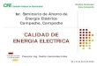 CFE Calidad de Energía Eléctrica