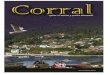 Guía Turística de la comuna de Corral - Chile 2010