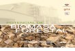 Estudio Potencial Biomasa Forestal