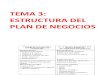 Tema 3 Estructura Del Plan de Negocios