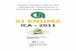 Perfil Del Enuma 2011