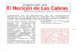 Diario El Hocicón