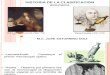HISTORIA DE LA CLASIFICACIÓN biológica