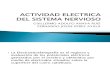 Actividad Electrica Del Sistema Nervioso