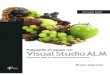 Trabajando en equipo con Visual Studio ALM - Bruno Capuano - Krasis Press - Índice